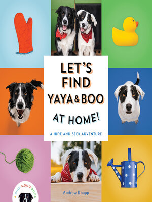 cover image of Let's Find Yaya and Boo at Home!
